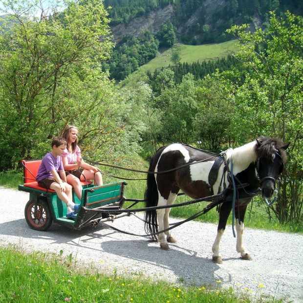 Kinder mit Ponykutsche