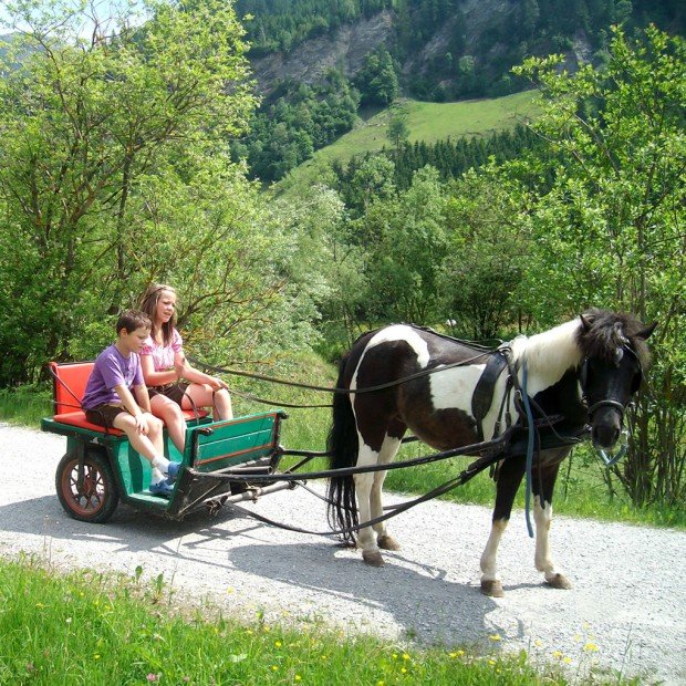 Kinder mit Ponykutsche