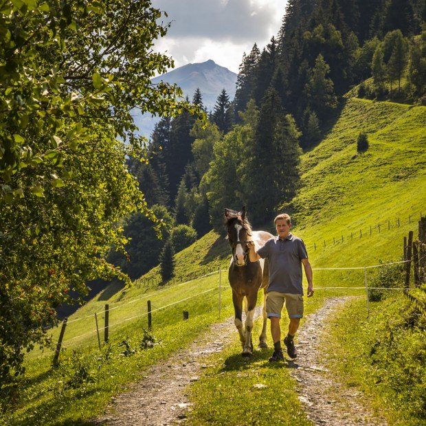 Pferde am Bauernhof Hinterhub im Großarltal