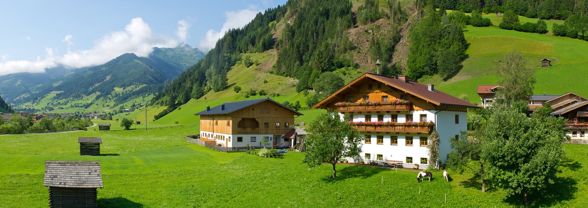 Urlaub auf dem Bauernhof Hinterhub, Sommerurlaub mit der Familie © Michael Gruber