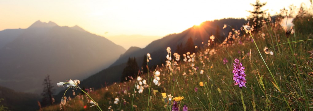 Sommerurlaub im Großarltal © TVB Großarltal