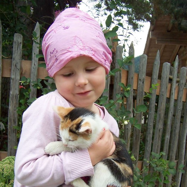 Katzen zum Streicheln und Kuscheln auf unserem Bauernhof in Österreich