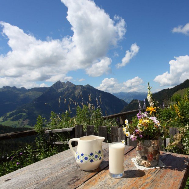 Rast auf der Alm im Großarltal